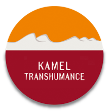 Agence Kamel Transhumance